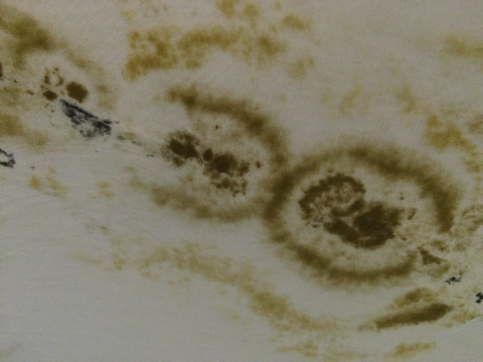 Badezimmerdecke - Schimmel Großaufnahme Maya World Park Hotel