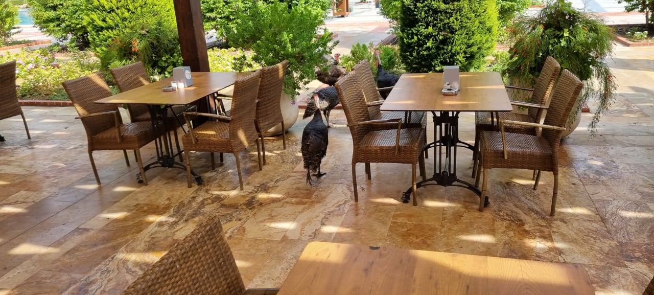 Gastro Venosa Beach Resort & Spa