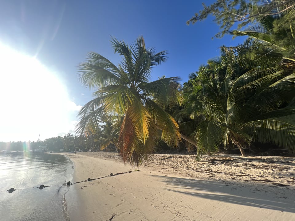 Strand Lopesan Costa Bávaro Resort, Spa & Casino
