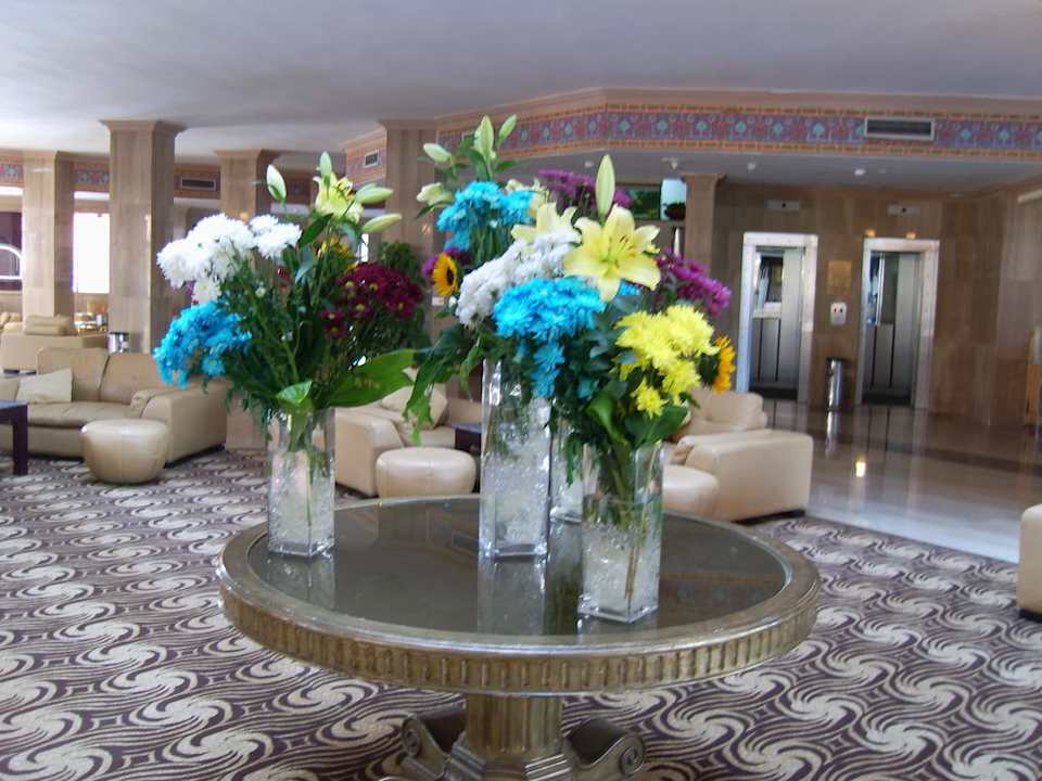 Lobby Beach Albatros Resort