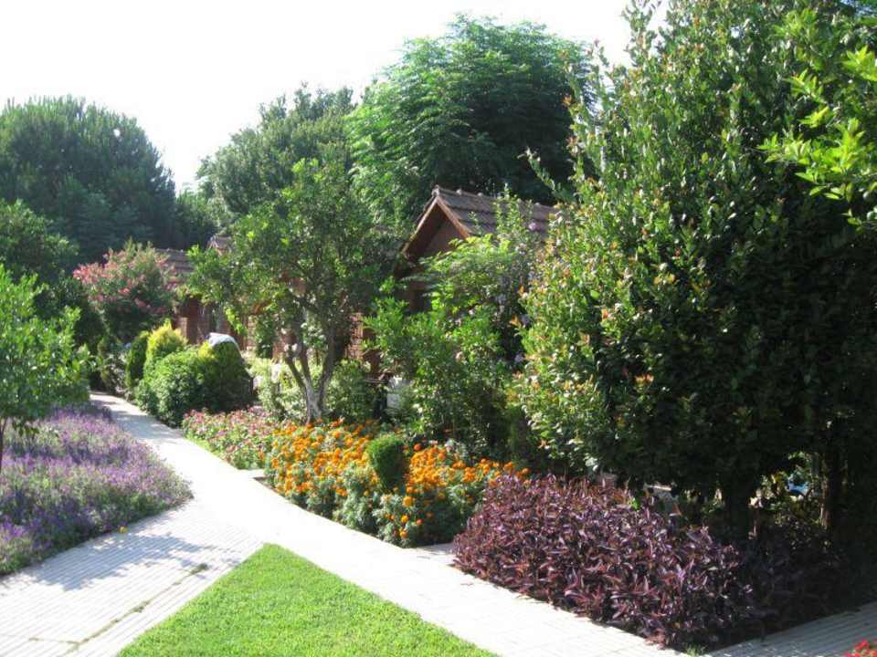 Garten mit Bungalows Can Garden Beach