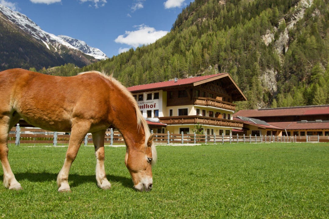 Das Haus Alpenappart Rimlhof