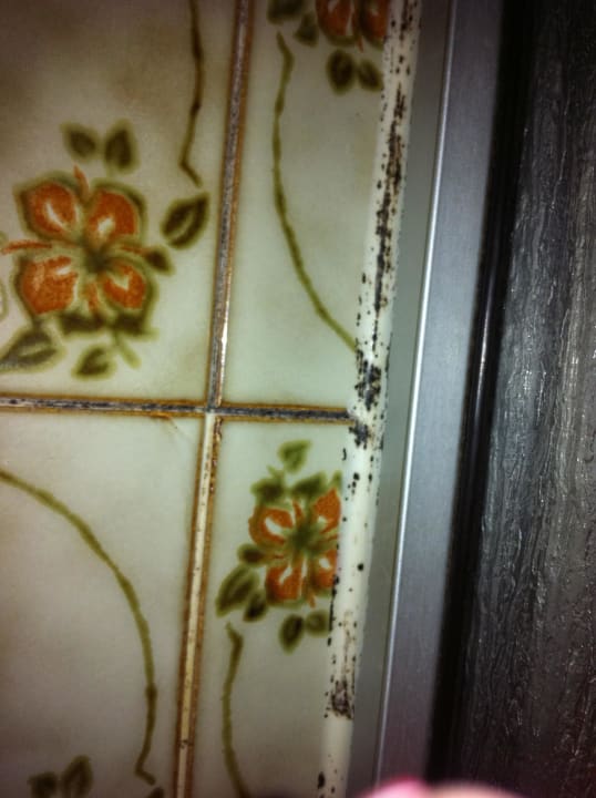 Silkonfuge mit 60% Schwarzanteil - ekelhaft Hotel Ambassador Essen