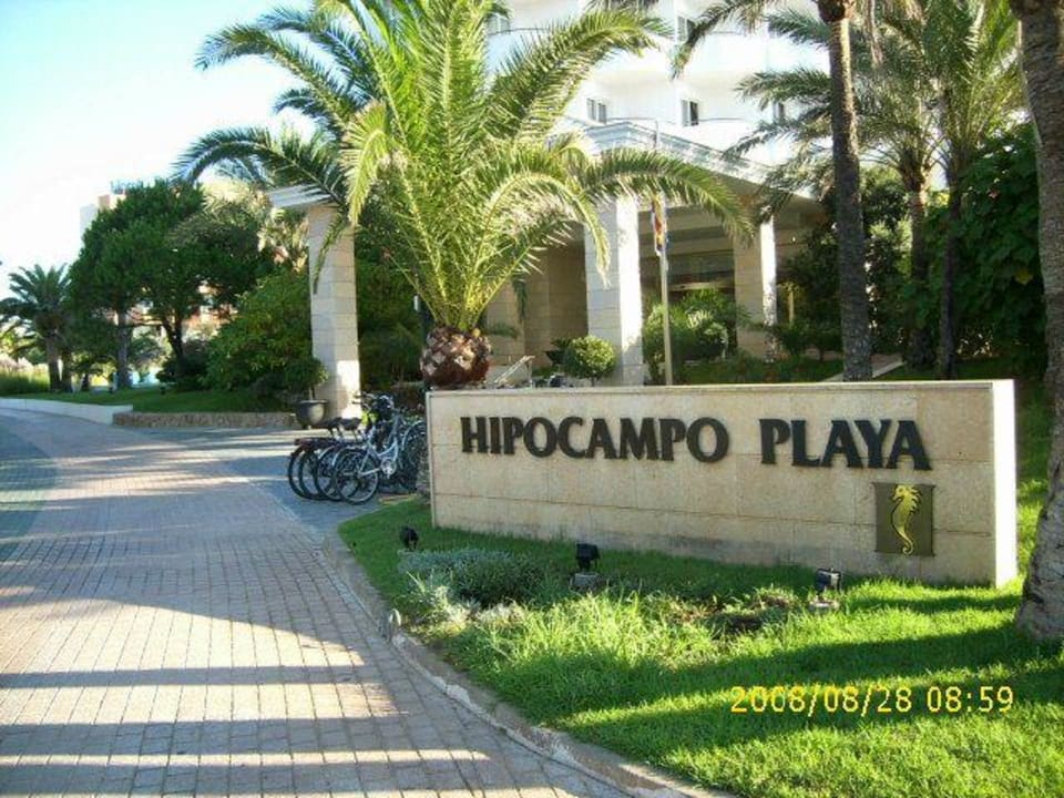 Eingangsbereich Hipocampo Playa Hipotels Hipocampo Playa