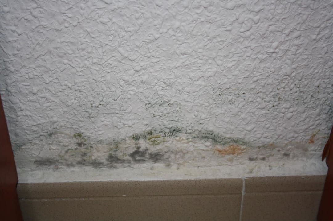 Blühende Landschaft Flipflop Cala Romantica