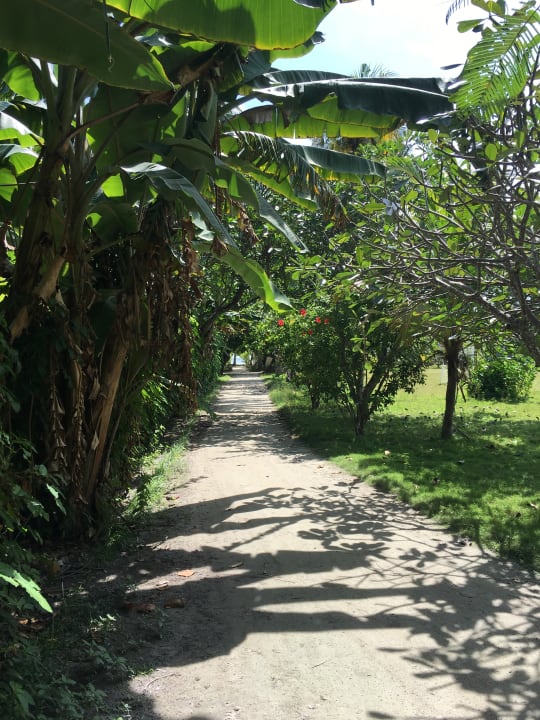 Außenansicht Adaaran Select Hudhuran Fushi - Premium All Inclusive