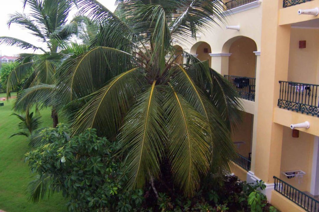 Zimmer Iberostar Selection Hacienda Dominicus