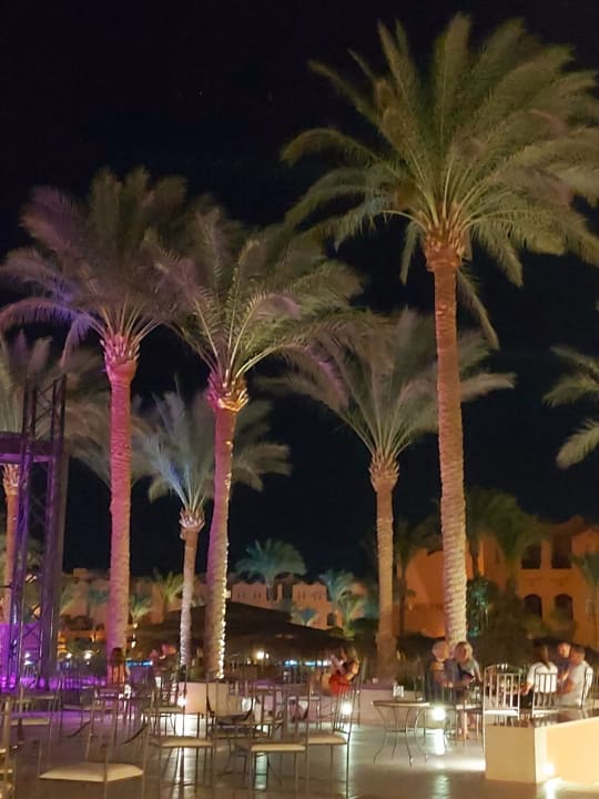 Gastro Jaz Makadi Oasis Resort