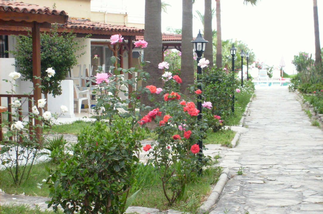 Blick zum Meer  Apartment Royal 4