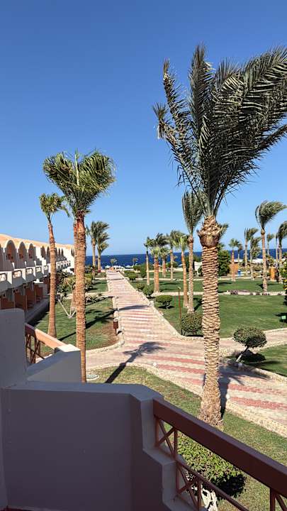 Zimmer Three Corners Sea Beach Resort