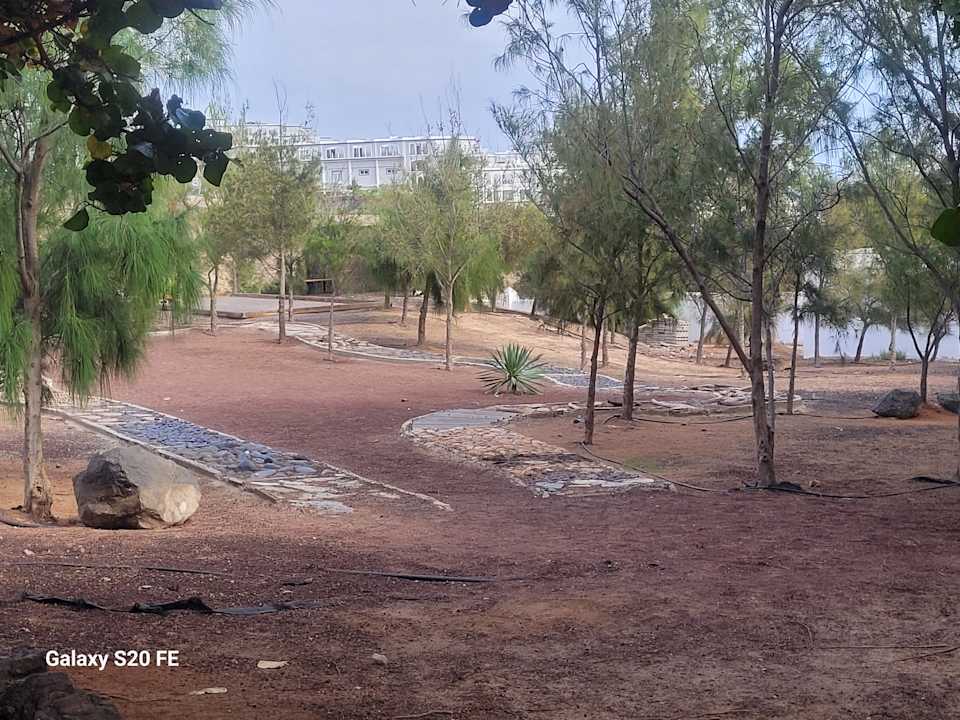 Gartenanlage Aldiana Club Fuerteventura