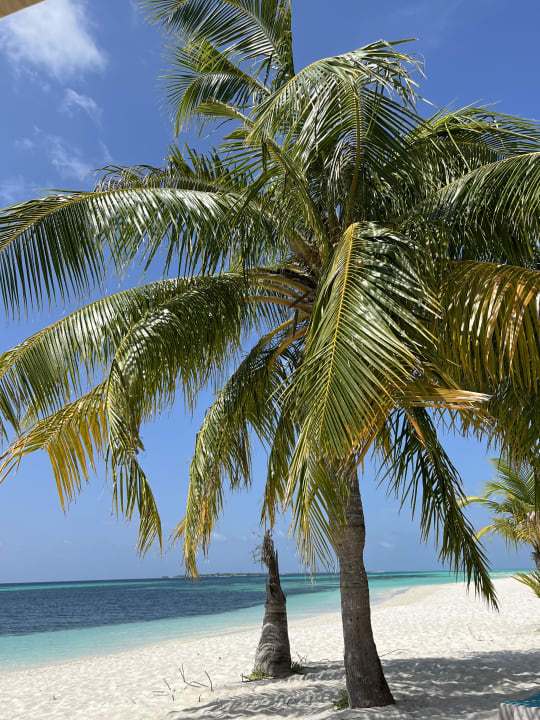 Strand Kuredu Island Resort & Spa