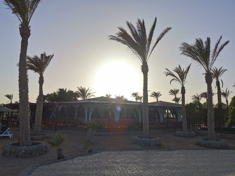 Gastro Arabia Azur Resort