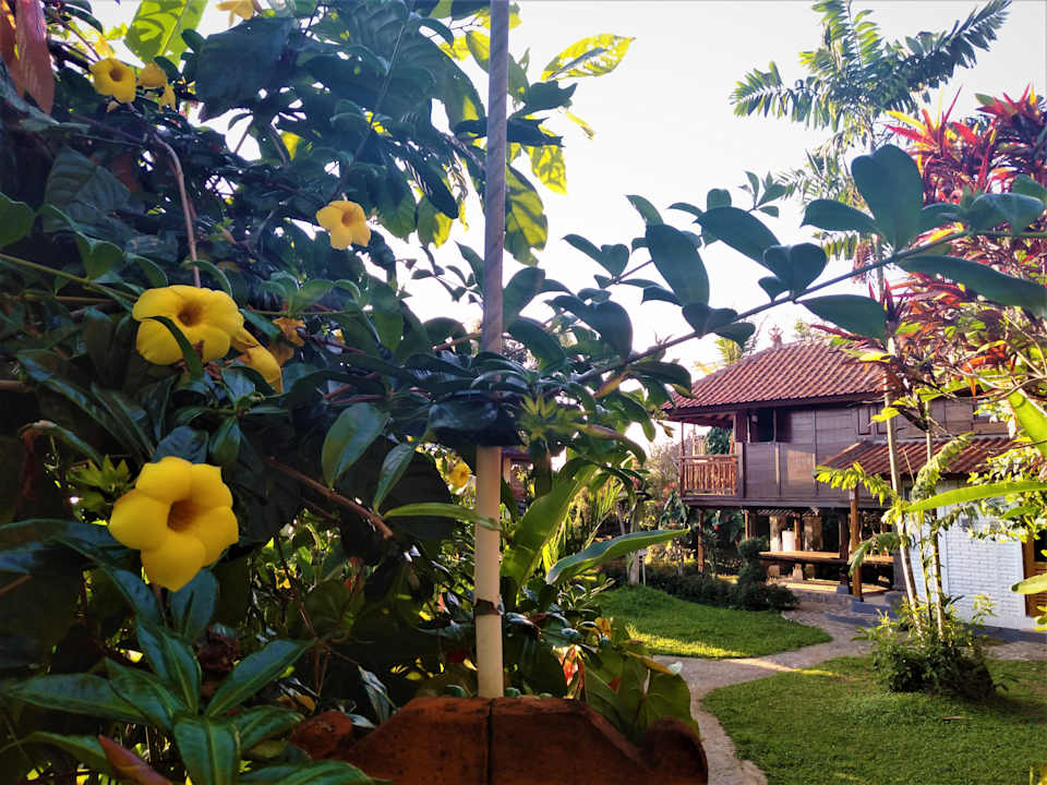Gartenanlage Puri Lumbung Cottages