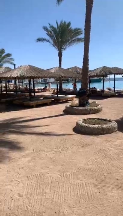 Strand Regina Resort and Aqua Park Hurghada
