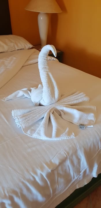 Zimmer Arabia Azur Resort