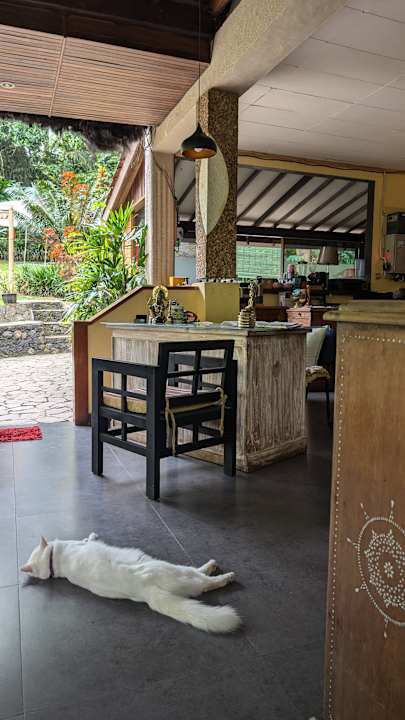 Lobby Mi Casa - The gem of Ijen