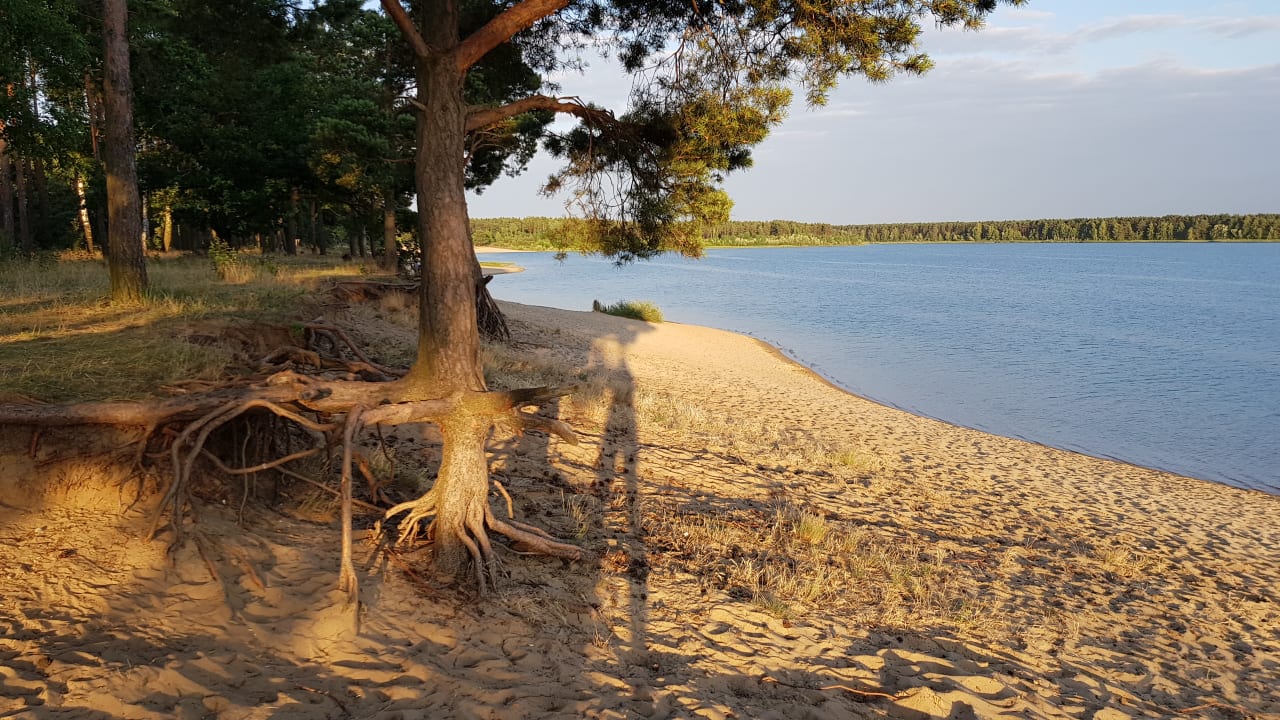 Strand Frankfurter Freizeit- & Campingpark Helene-See