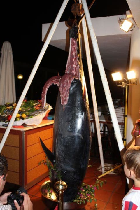 Frais du jour Hotel Pine Bay Holiday Resort