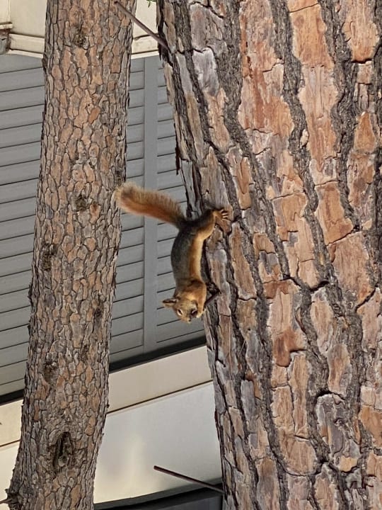 Sonstiges Voyage Belek Golf & Spa