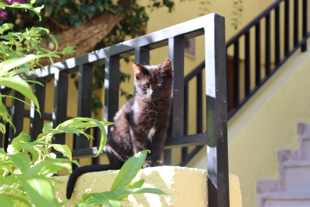 Gartenanlage VONRESORT Golden Beach