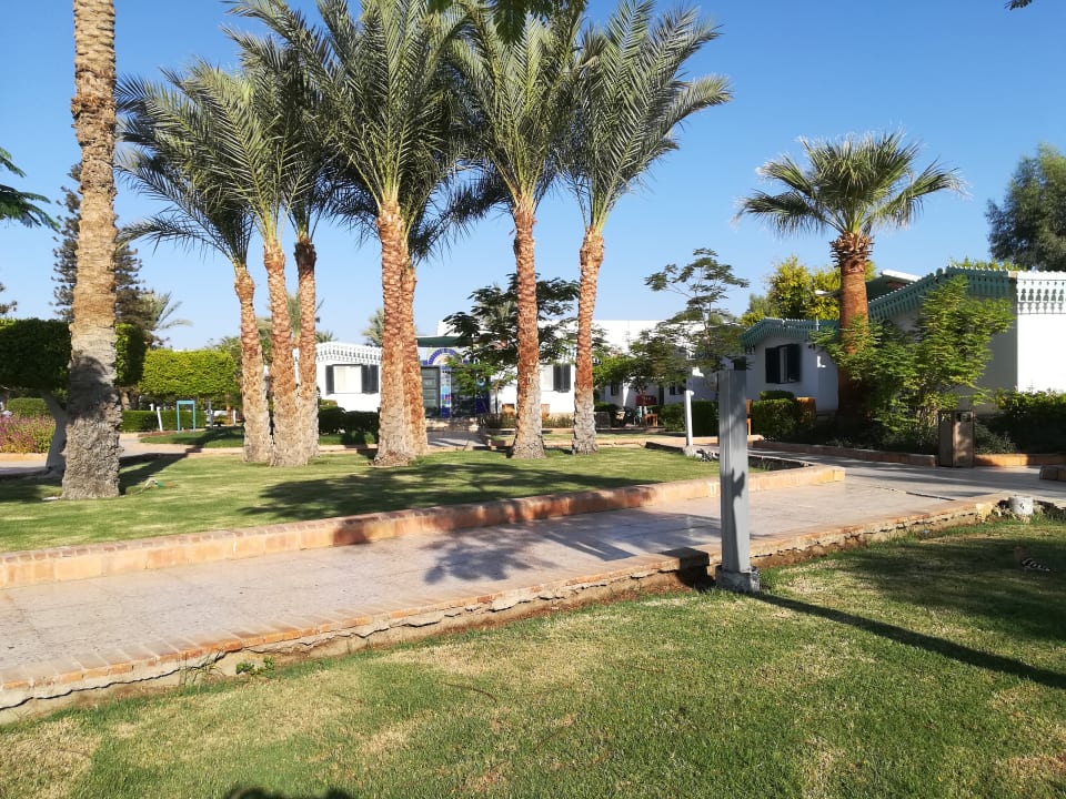 Gartenanlage Ghazala Beach