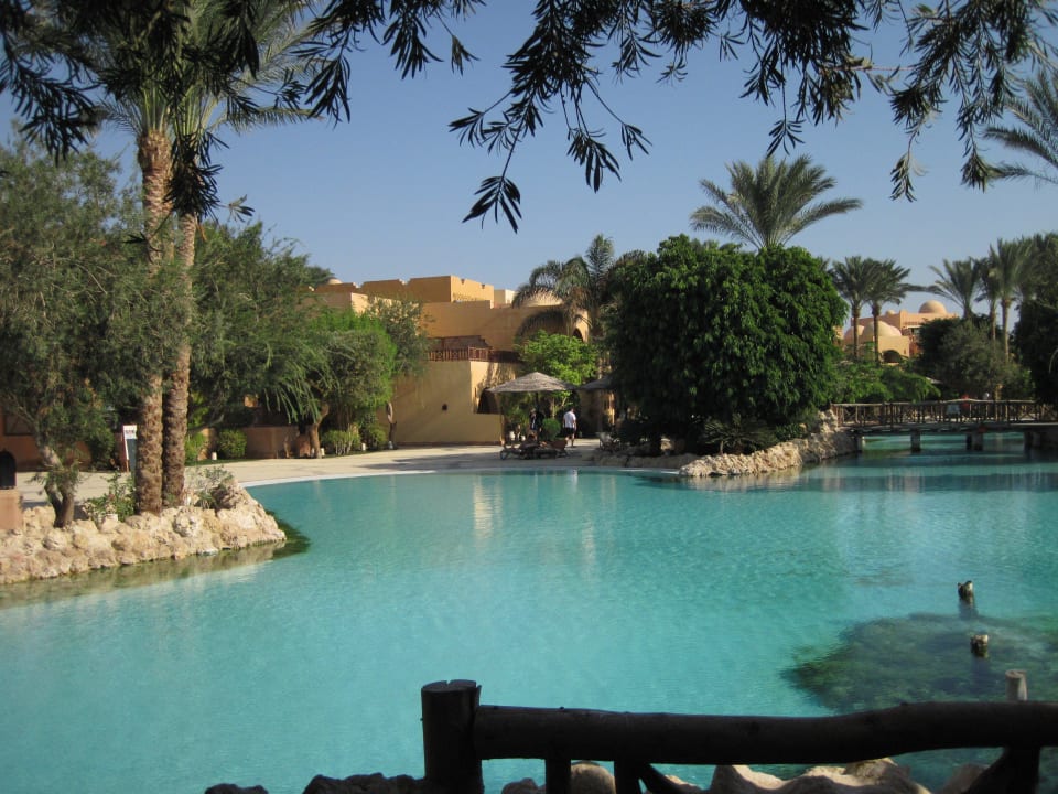 Grand Makadi Grand Makadi