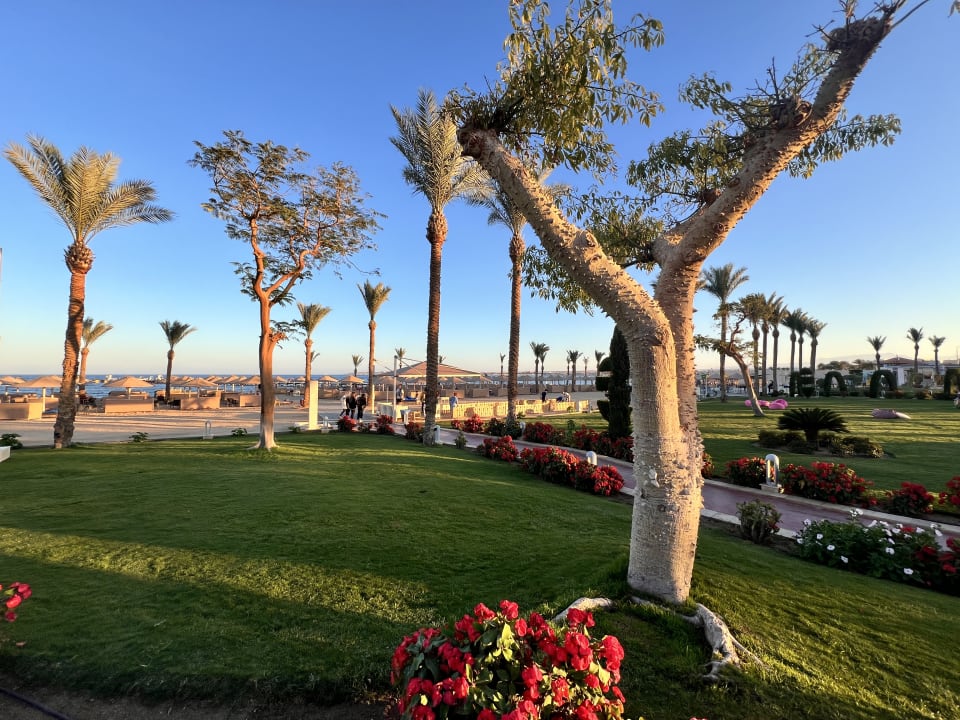 Ausblick Pickalbatros Palace Resort