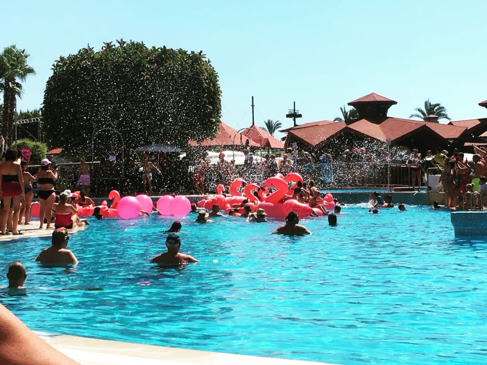 Pool Miramare Queen Hotel