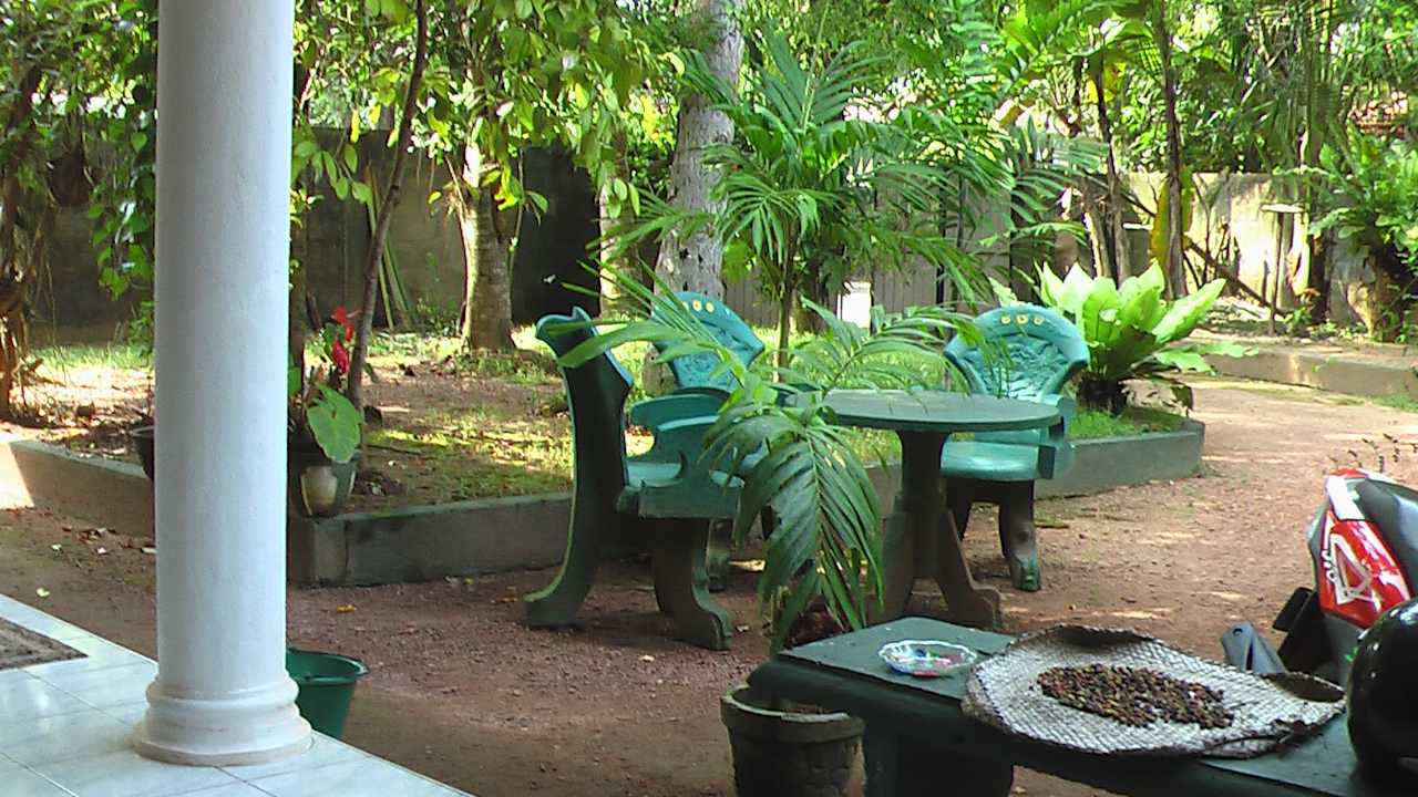 Gartenanlage Sunshine Guesthouse