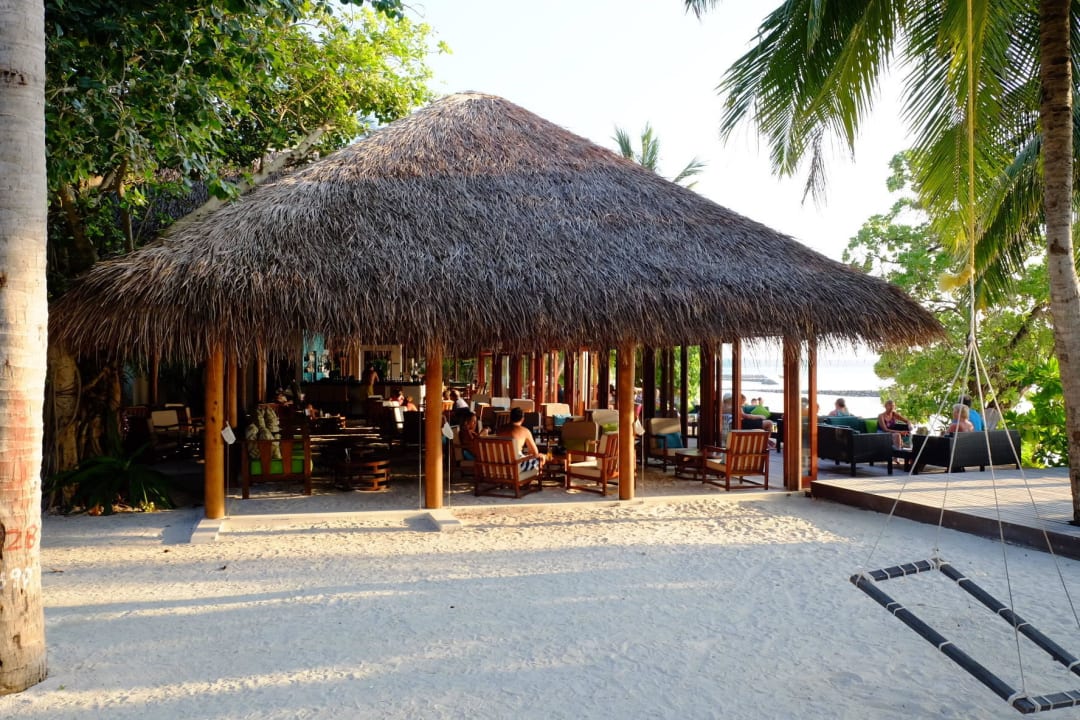 Bar Summer Island Maldives