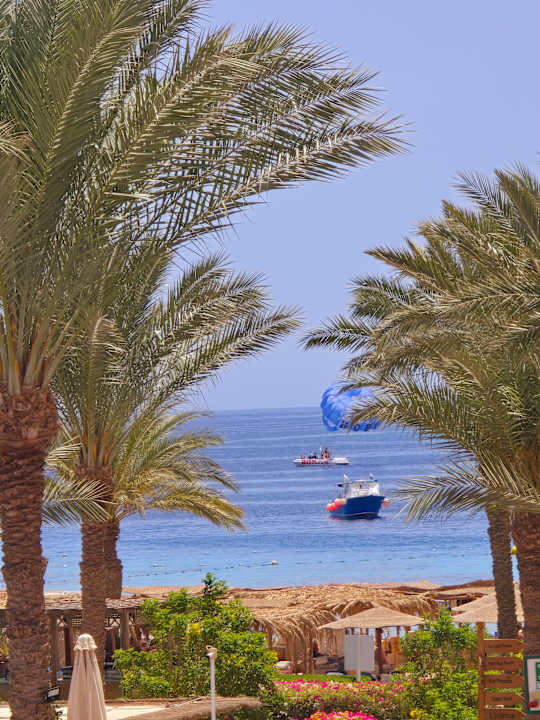 Strand Fort Arabesque Resort, Spa & Villas