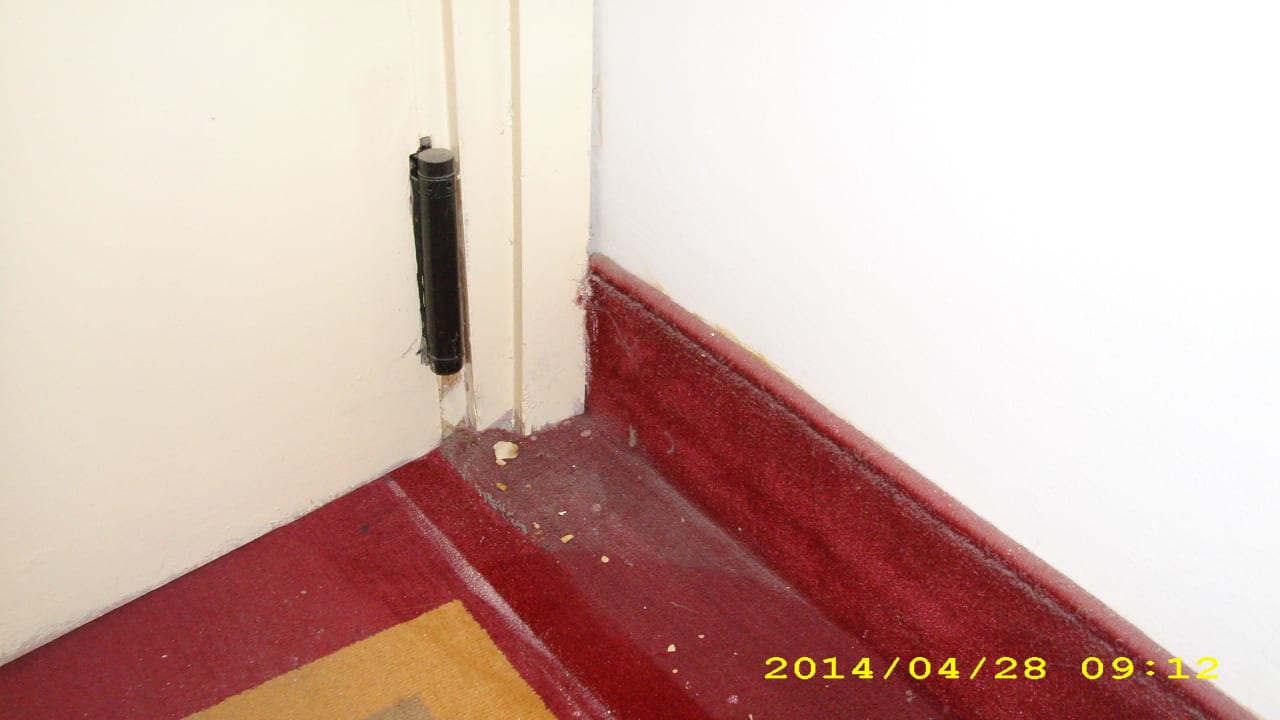 Ohne worte Hotel Amir Palace