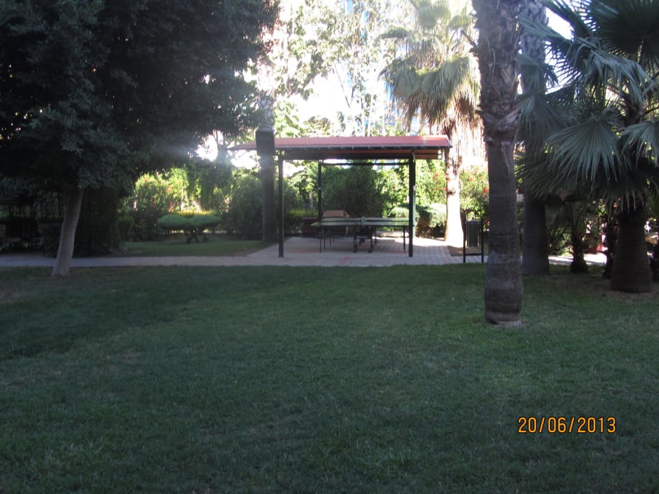 Настольный теннис Hotel Royal Garden Beach