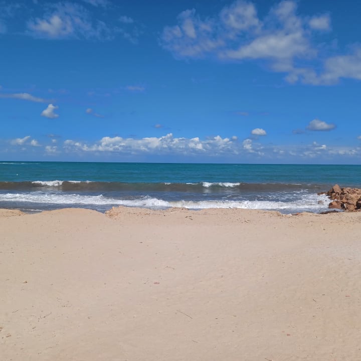 Strand Vincci Safira Palms