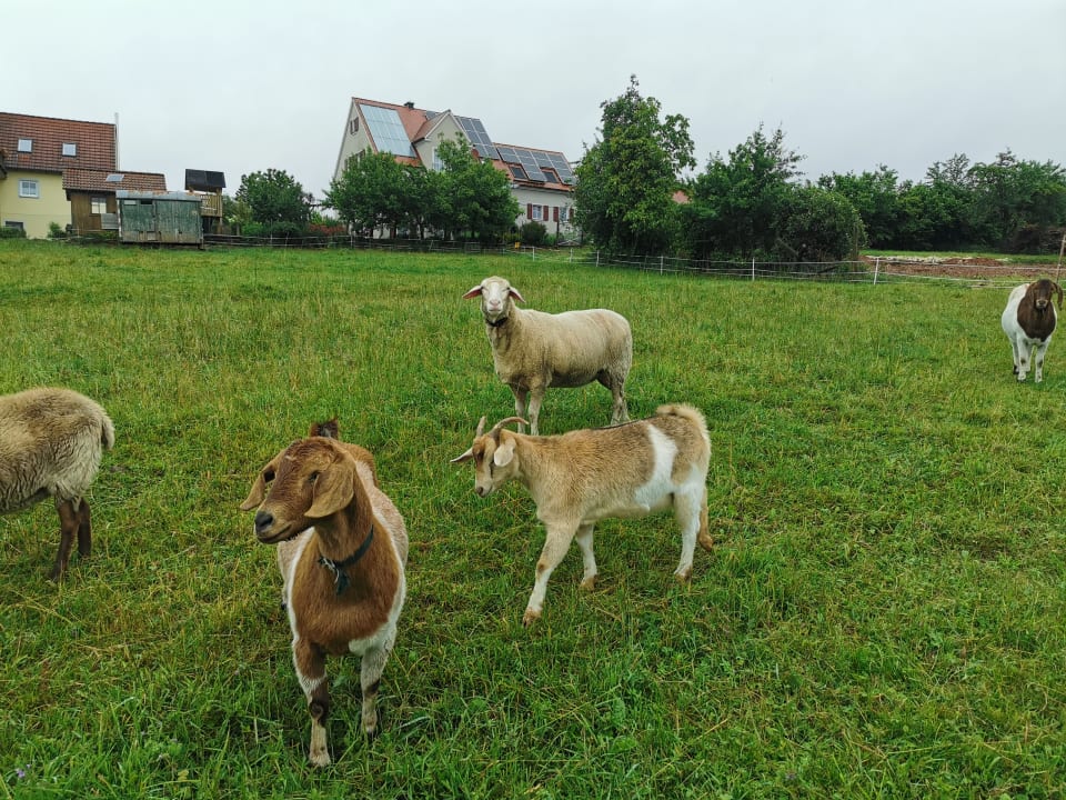 Sport & Freizeit Ferienhof Hausmann