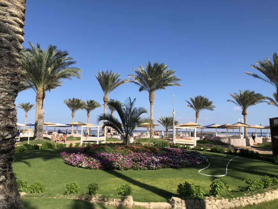 Strand Pickalbatros Royal Moderna Resort-Sharm El Sheikh