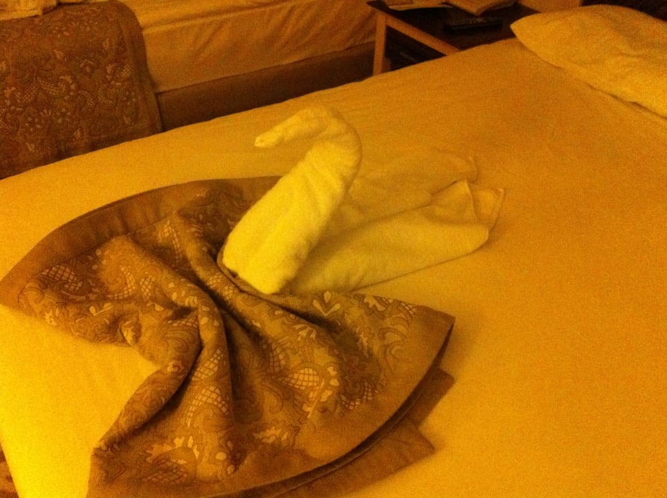 Mein lieber Schwan... Aydinbey Kings Palace & Spa