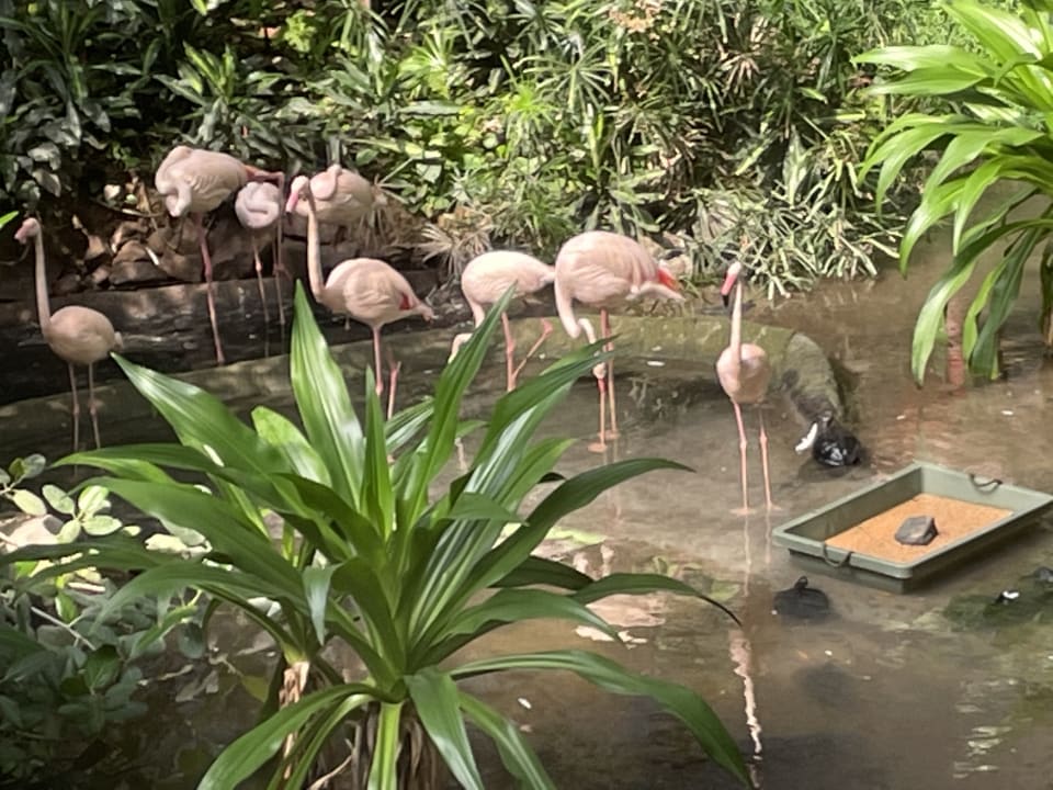 Sonstiges Tropical Islands Resort