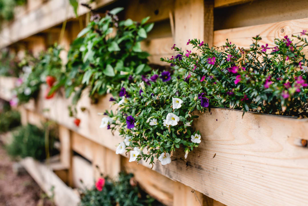 Sonstiges Hotel Historische Spitzgrundmühle