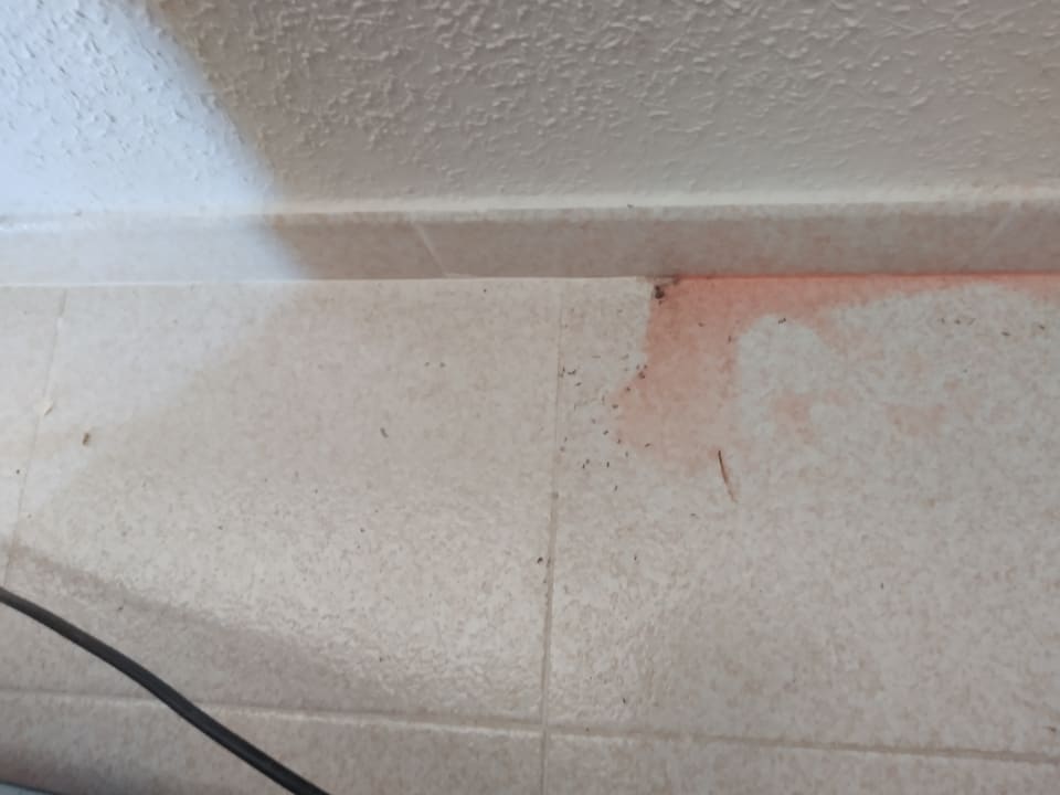 Zimmer Grupotel Cala Marsal Nature Hotel