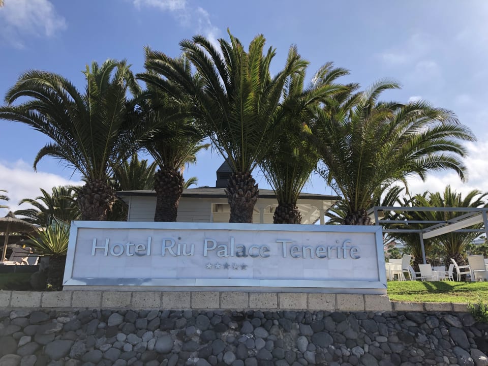 Gartenanlage Hotel Riu Palace Tenerife