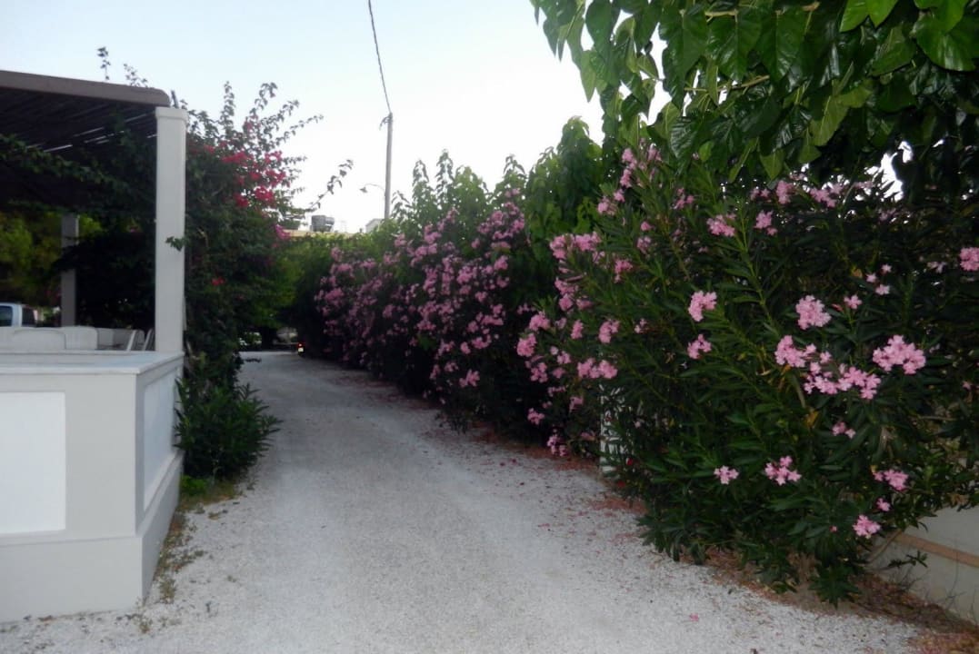 Hotel Peli Hotel Peli