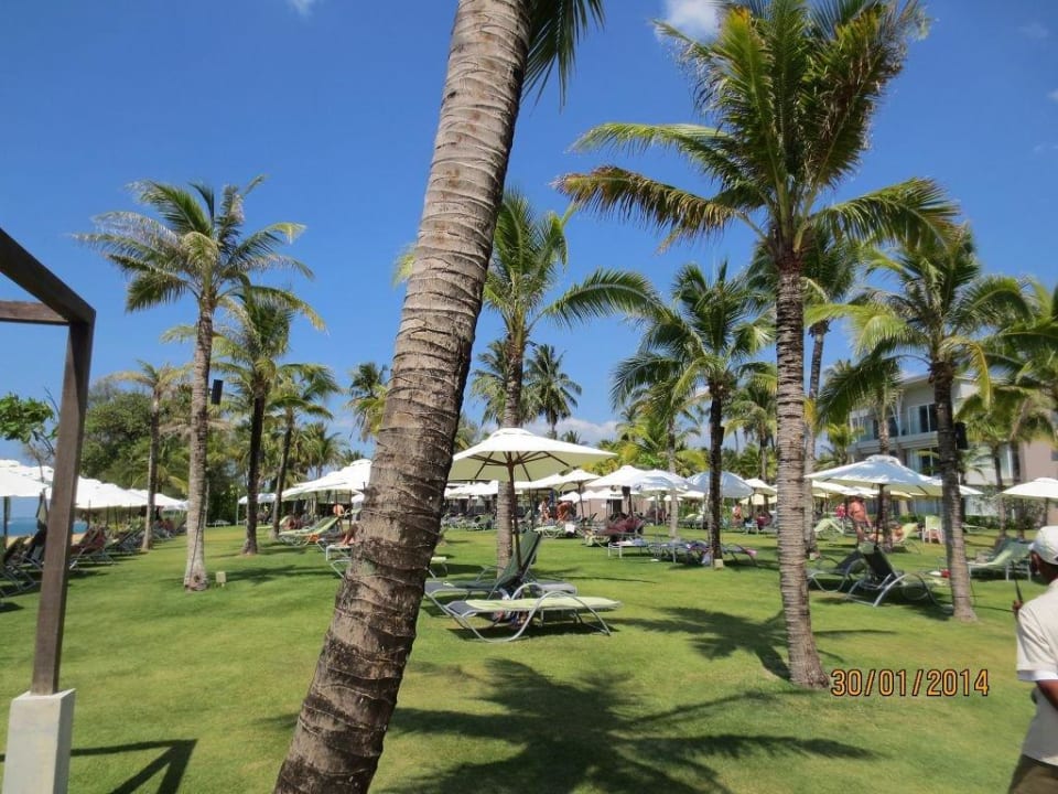 Liegewiese The Sands Khao Lak by Katathani