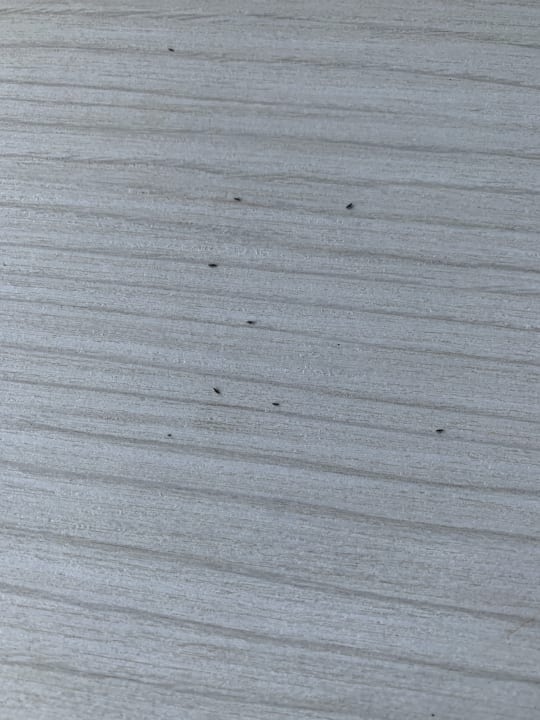 Sonstiges Salamis Bay Conti Resort Hotel & Casino