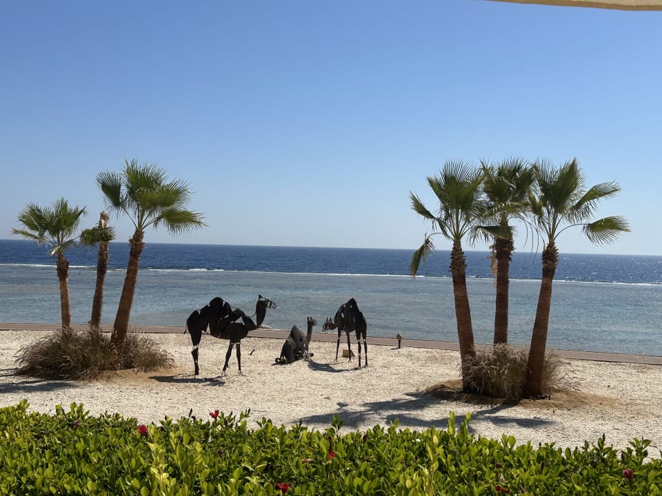 Strand Mövenpick Resort El Quseir