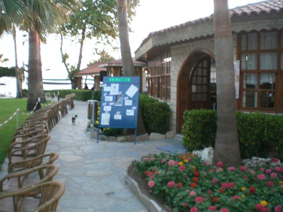 Weg zum Strand Trendy Side Beach Hotel - Adults only