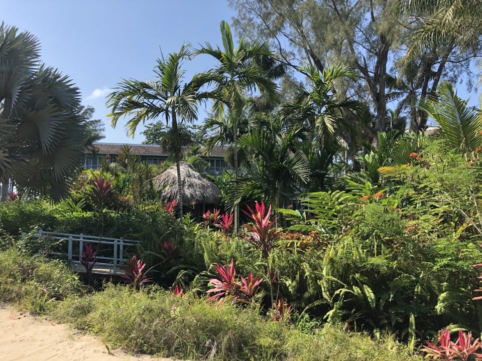 Gartenanlage Couples Negril - Adults only