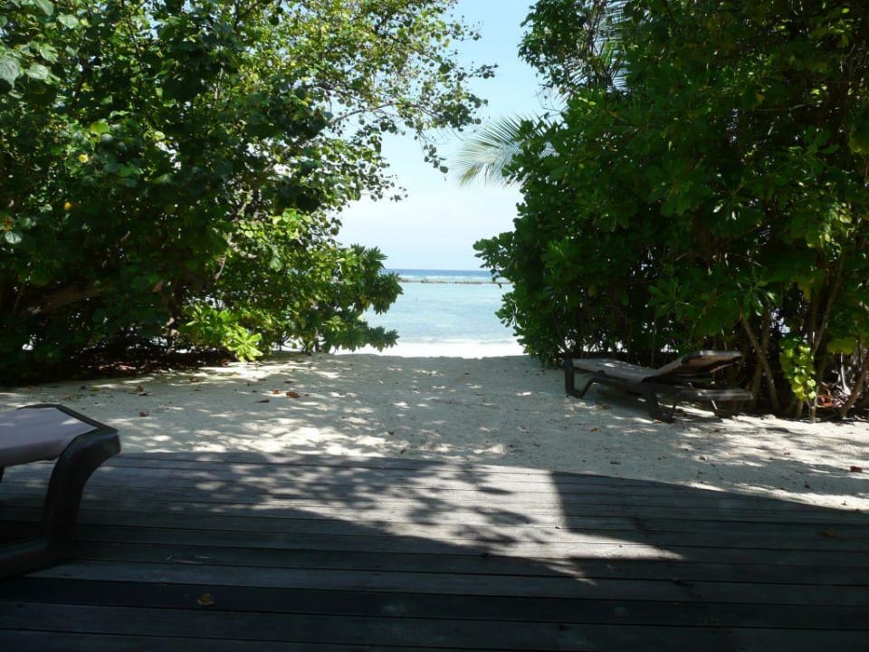 Am Bungi Kuredu Island Resort & Spa