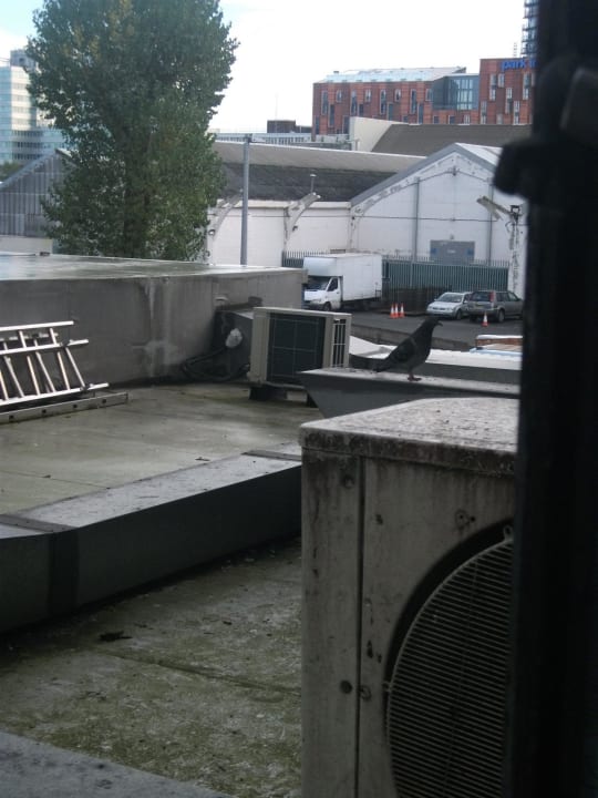 Tauben und Dreck London Wembley International Hotel